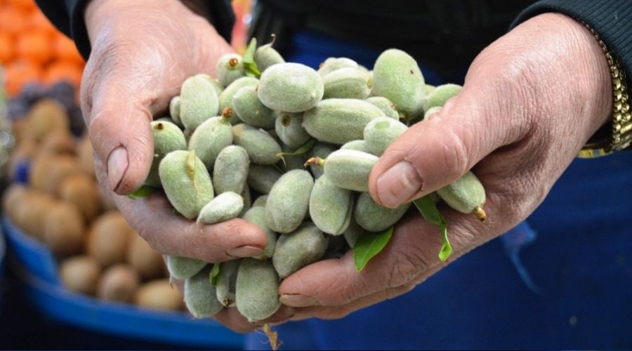 Çağla sezonu 50 TL'den açtı
