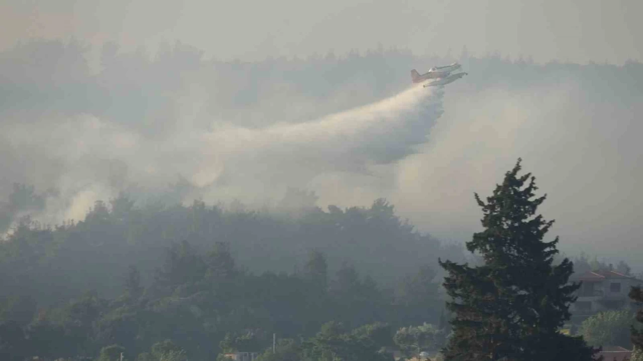 Çanakkale'de bir ayda 132 orman yangını çıktı