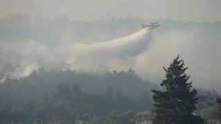 Çanakkale'de bir ayda 132 orman yangını çıktı