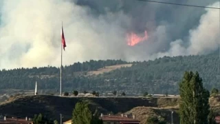 Çankırı'da orman yangını