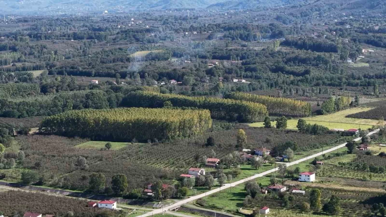 aramba Ovas tarmdan uzaklayor