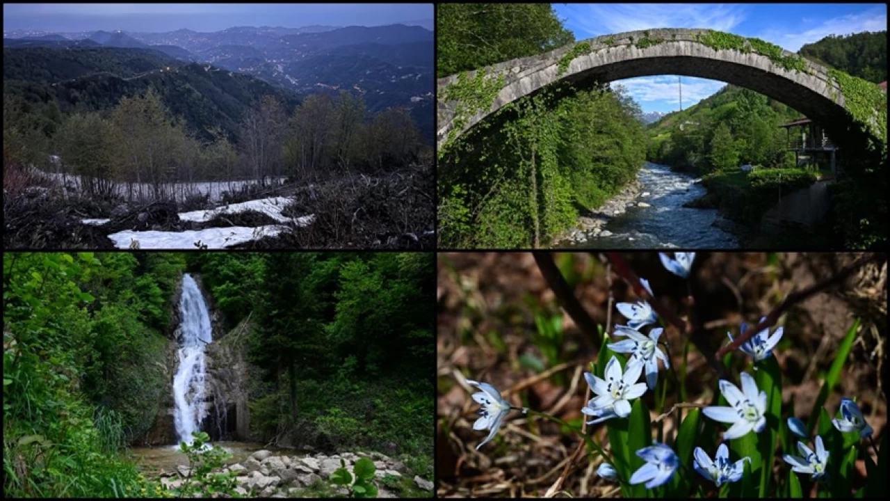 ayn Bakenti: Rize'nin kuruluu, tarihi miras ve doal cenneti