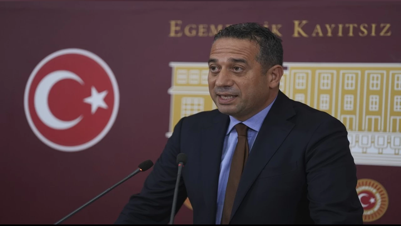 CHP sokak hayvanları için AYM başvurusunu yarın yapacak