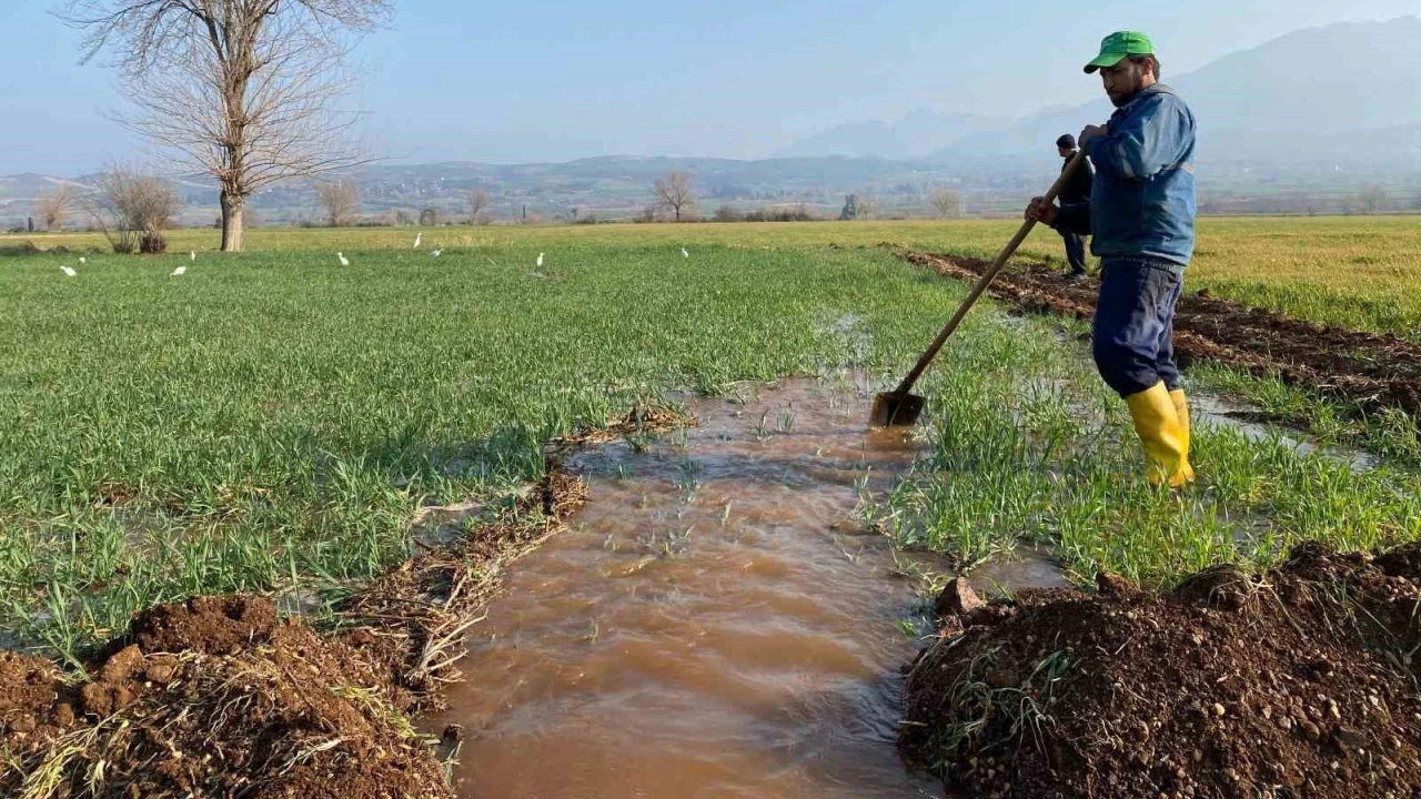 Çiftçiler yağmur yağmadığı için tarlalarını sulamaya başladı
