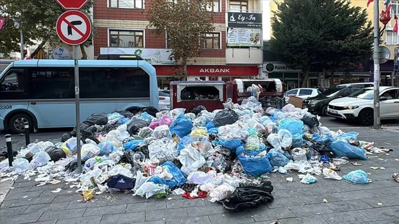 Çöplerin temizlenmesi: Görevler ve sorumluluklar