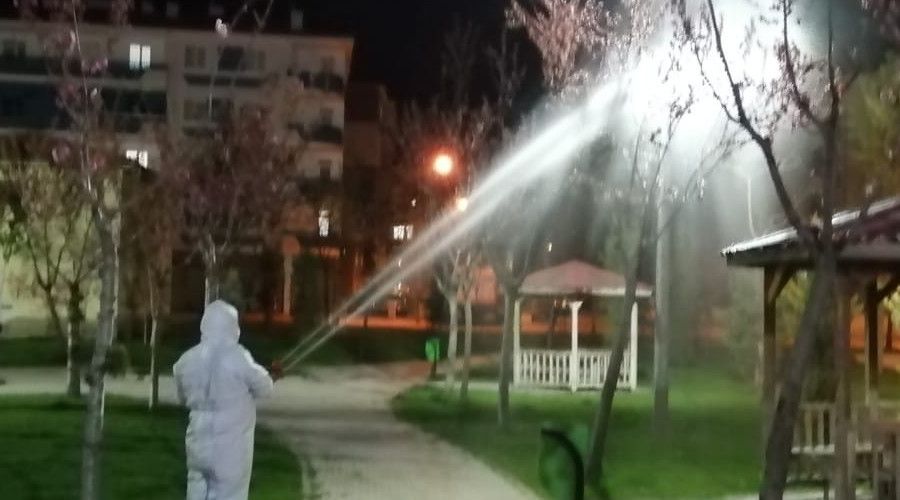 Çorum'da yaprak biti ile müdahale erken başladı
