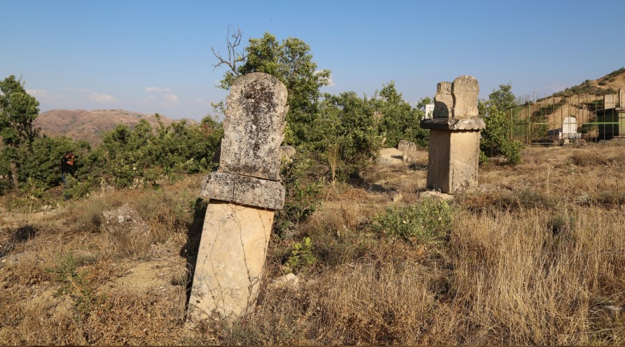 Define avcıları rahat bırakmıyor