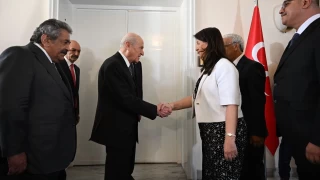 DEM Parti heyeti, Bahçeli ile görüştü