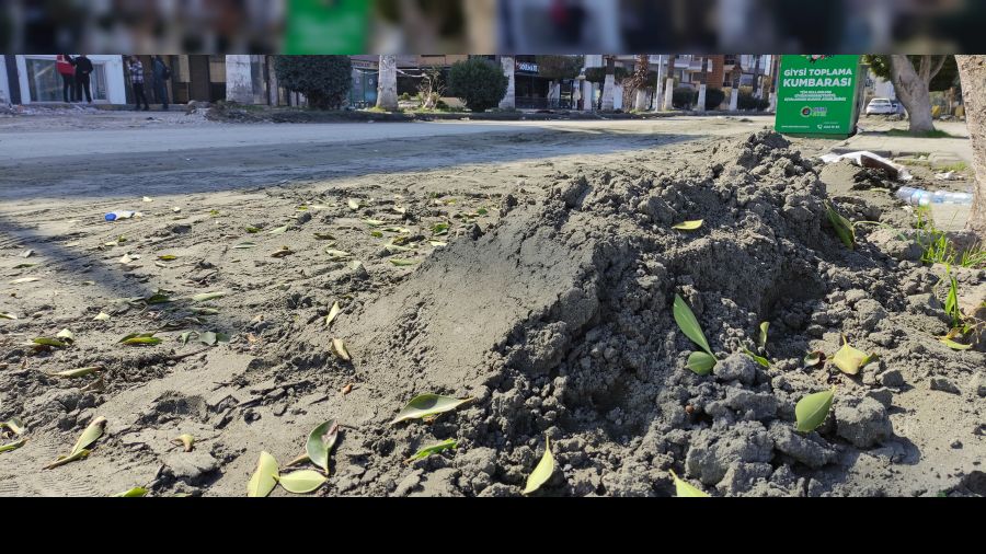 Deniz kumu sanıldı, kılcal damarlardan yüzeye çıkan sitrik kil olduğu anlaşıldı