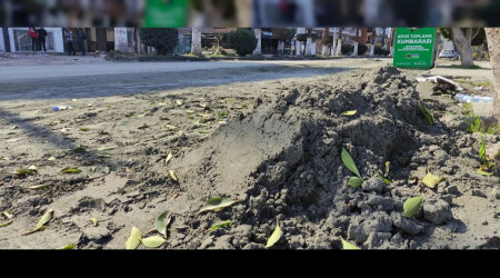 Deniz kumu sanıldı, kılcal damarlardan yüzeye çıkan sitrik kil olduğu anlaşıldı