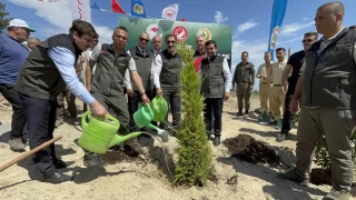 Deprem ehitleri iin binlerce fidan dikildi