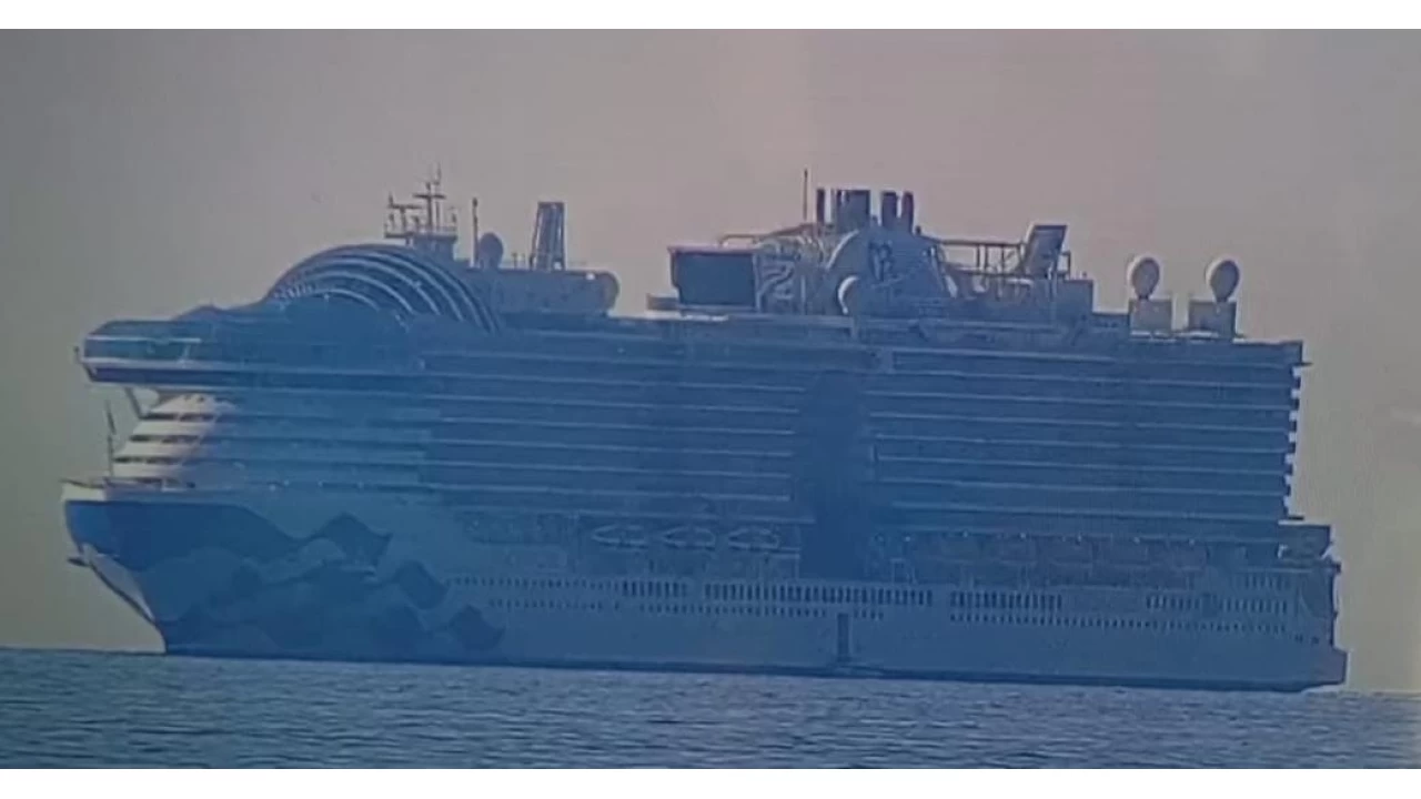 Dev yolcu gemisinden d��en Kenyal� aran�yor