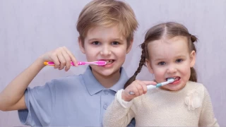 Dilerinizi dzenli fralayarak koruyun