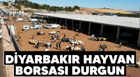 Diyarbakr Hayvan Borsas durgun