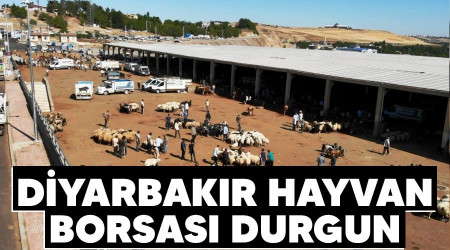 Diyarbakır Hayvan Borsası durgun