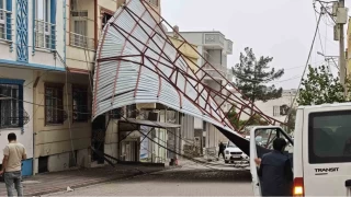 Diyarbakr'da atlar utu