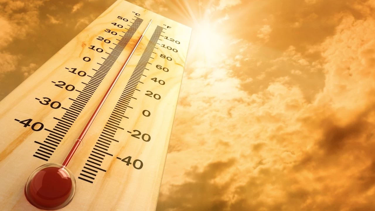 Dünya 2024'te en sıcak yılı yaşadı