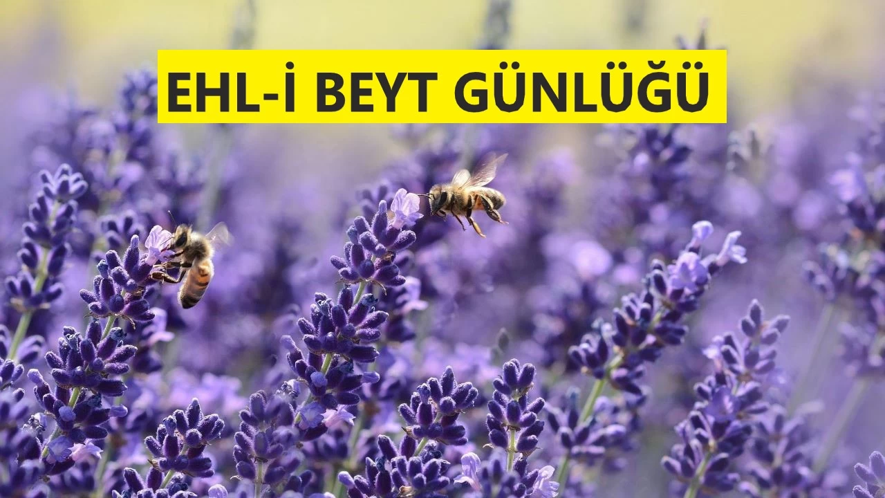D�nya evi zeval evidir