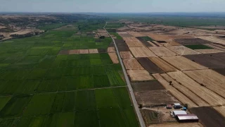 Edirne'de saanak ya ekili rnlere can suyu oldu