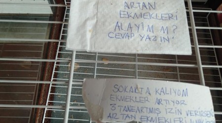 Ekmek dolabndaki not, Bodrum'un teki yzn gsterdi