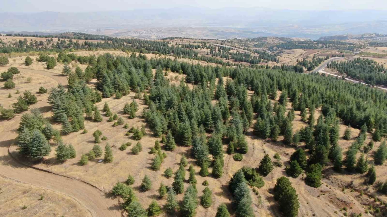 Elazığ'da havadan ve karadan denetimler sürdürüyor