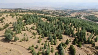 Elazığ'da havadan ve karadan denetimler sürdürüyor