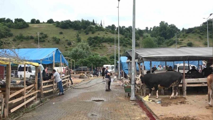 Elde kalan kurbanlıklar için mesai devam ediyor