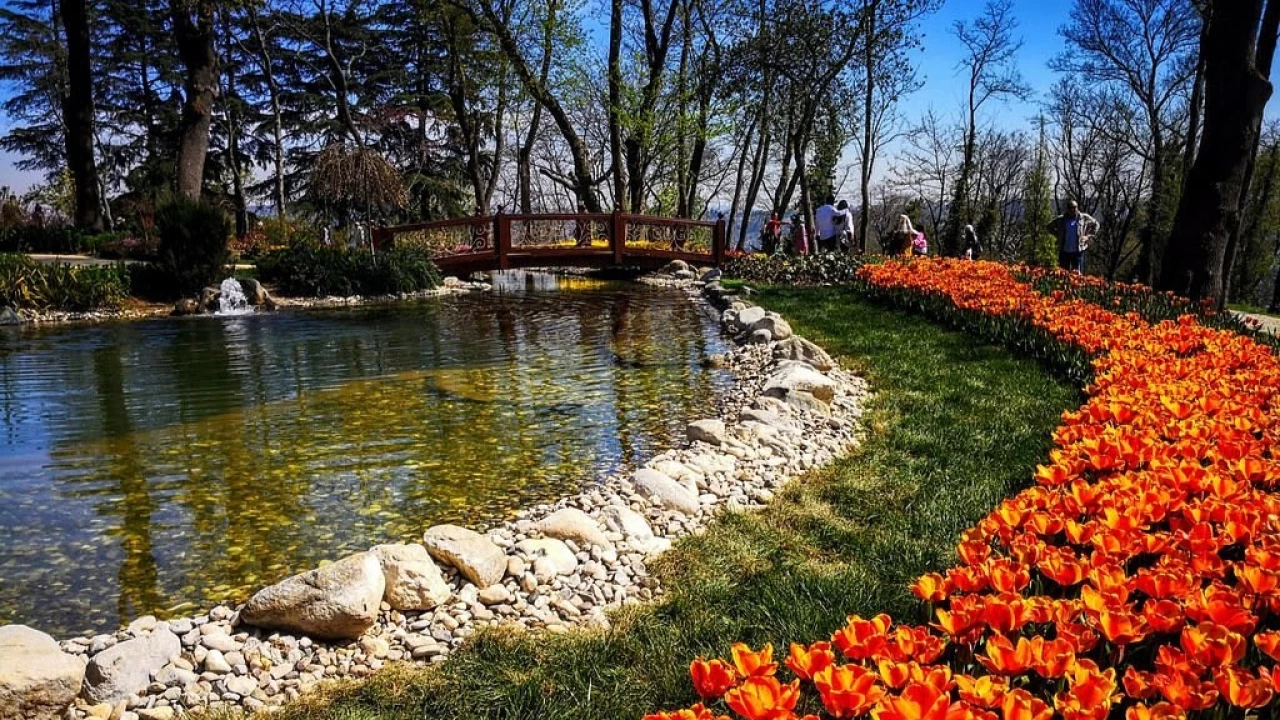 Emirgan Korusu: İstanbul'un yeşil cenneti