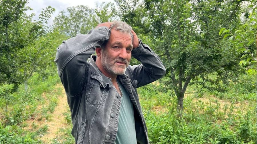 Erik tarlası soyulan çiftçiden hırsıza mesaj: "İşçilik güzel kendisiyle çay içmek istiyorum"
