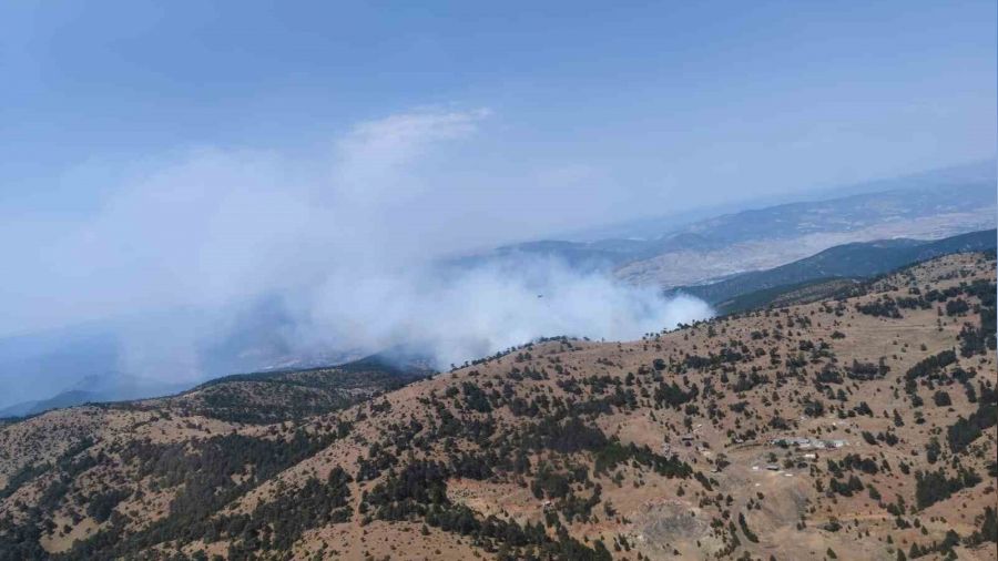 Eski�ehir'de orman yang�n�