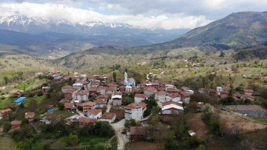 Evlenemeyen gençler muhtarların kapısını çalıyor