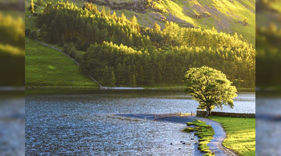 �Ey Allah��n zaferi, yak�nla�!�