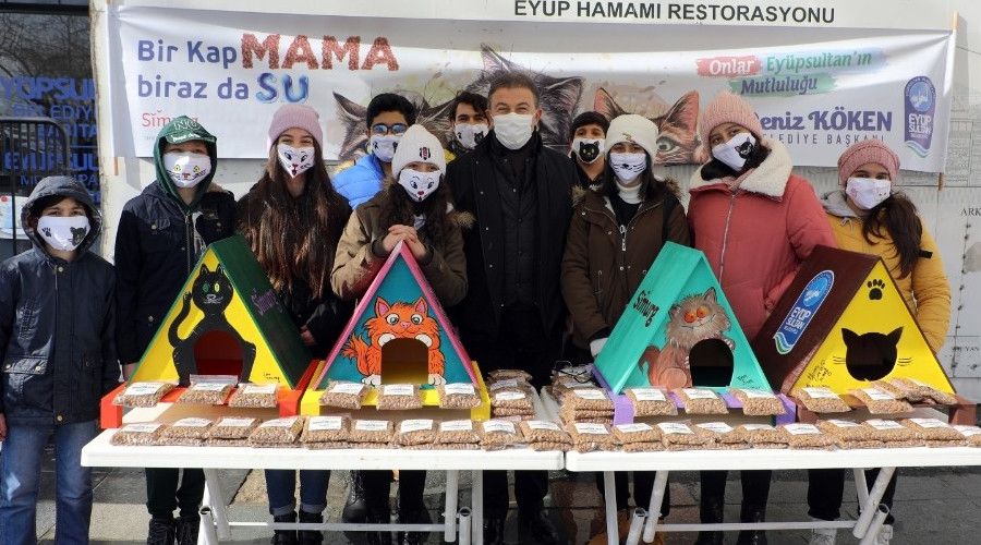 Eyüpsultan'da kediler yeni yuvalarına kavuştu