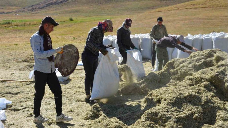 Faraşin Yaylası'nda besicilerin kış hazırlıkları