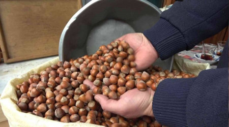 Fındık fiyatı yükselişini sürdürüyor