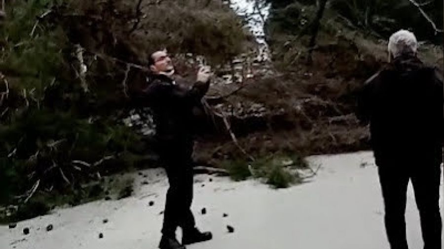 Fırtınanın devirdiği ağaç faciaya sebep oluyordu