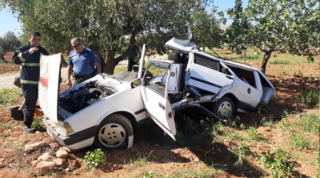 Fıstık bahçesine uçan araçta 3 yaralı