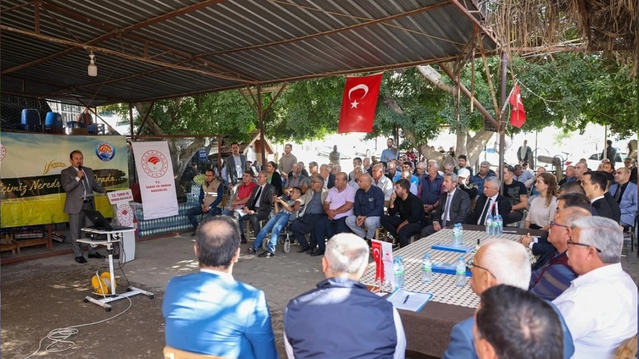 Gayrisafi milli hasılaya tarımsal alanda en çok katkı yapan 3. il...