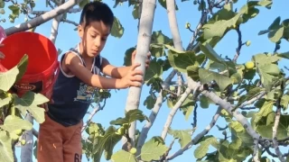 Gaziantep'te Onurcan 9 gndr aranyor