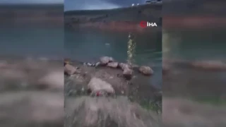 Gece yar�s� cesedi bulunan �ahs�n bo�ulma an� kamerada