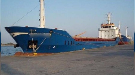 Gemlik Körfezi'ndeki kirliliğin sebebi belirlendi