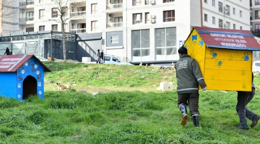 Geri d�n���mden sokak hayvanlar�na yuva