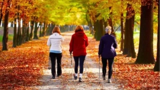 Geriye Yrmek Vcudu ve Zihni Yeniliyor
