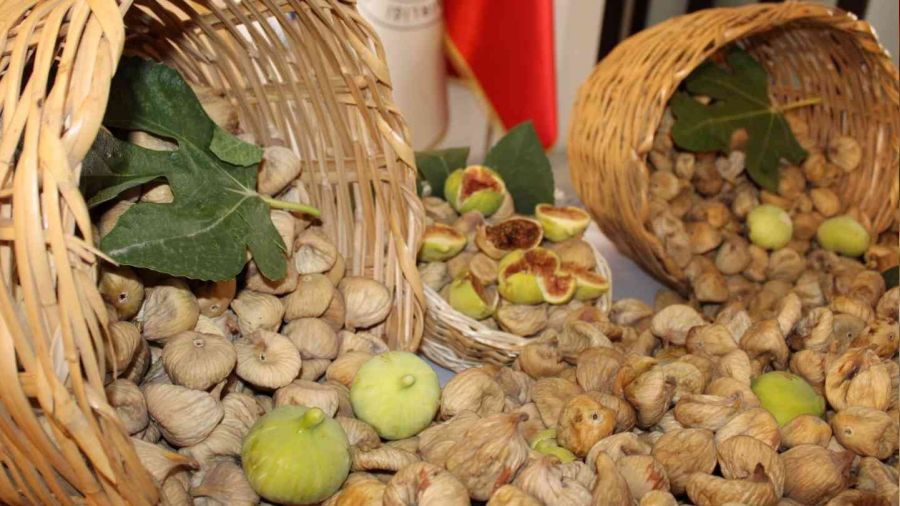 Germencik, en iyi incir yeti�tiricisini se�ecek