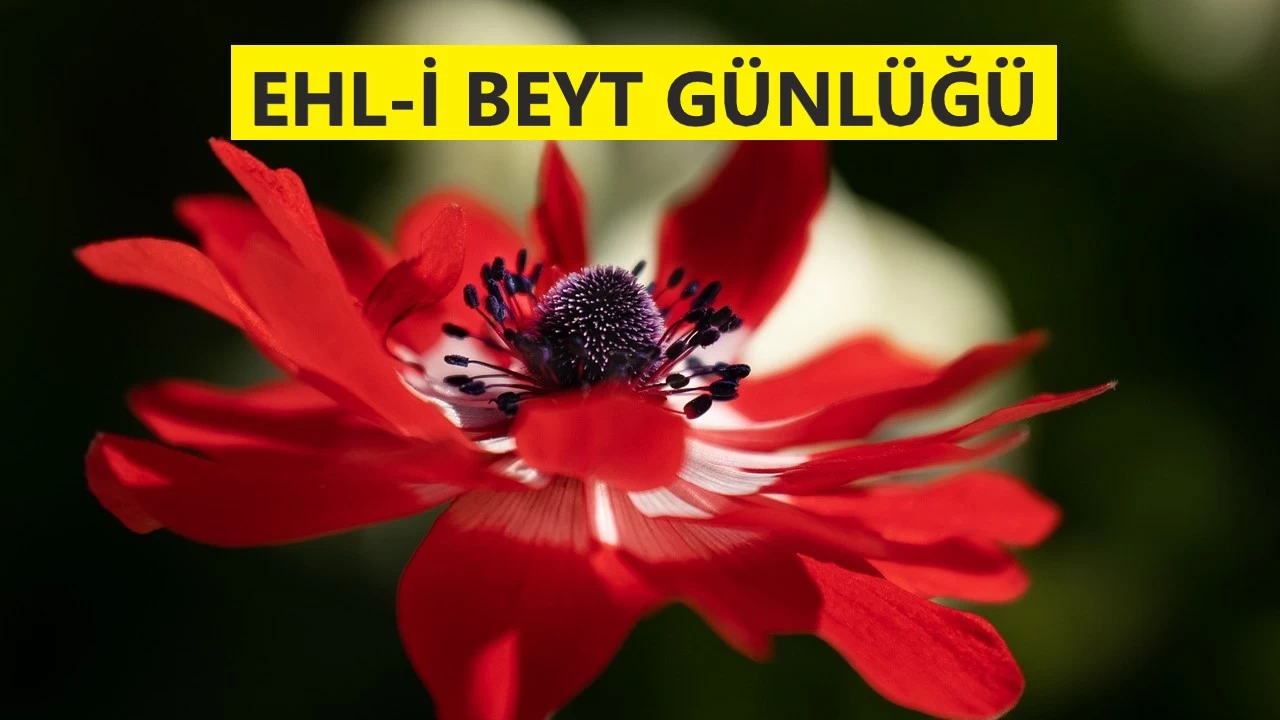 ‘Gözümde diken vardı, boğazımda kemik’