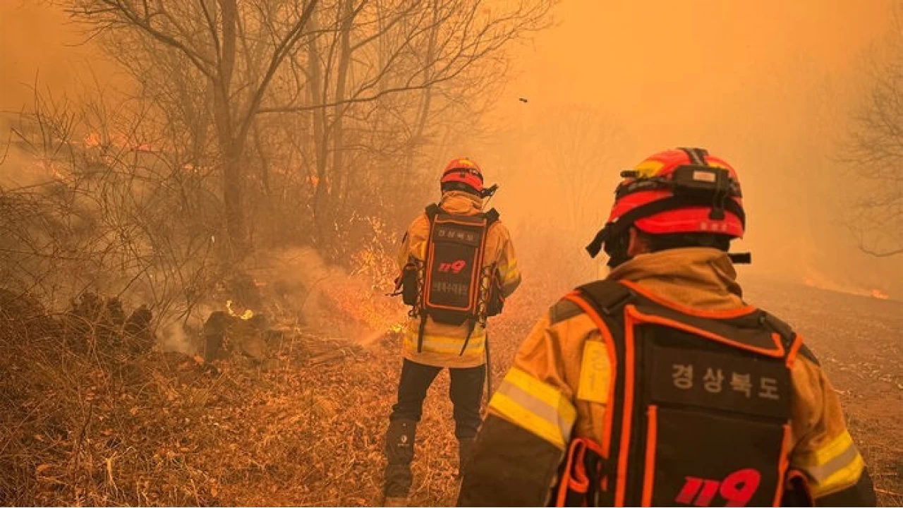 G�ney Kore'deki orman yang�nlar�nda �l� say�s� 4'e y�kseldi