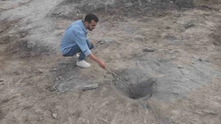 Hakkari'de gizemli kkrt vadisi: nsanlara ifa, hayvanlara lm