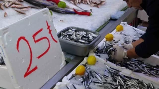 Hamsi 25 liraya geriledi: Vatandalar younluk oluturdu