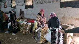 Hasad biten patateste depolama sreci balad