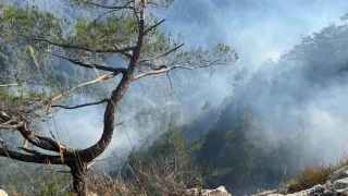 Hatay'daki orman yangnnda 23. saat geride kald